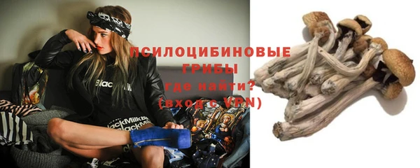 PSILOCYBIN Алексеевка