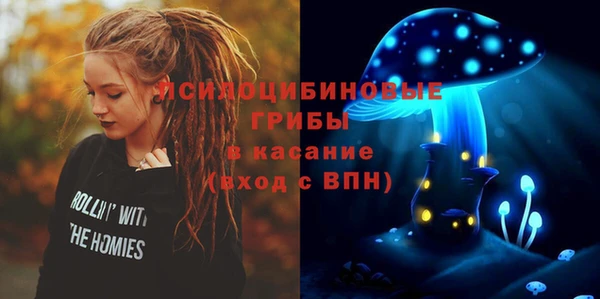 PSILOCYBIN Алексеевка