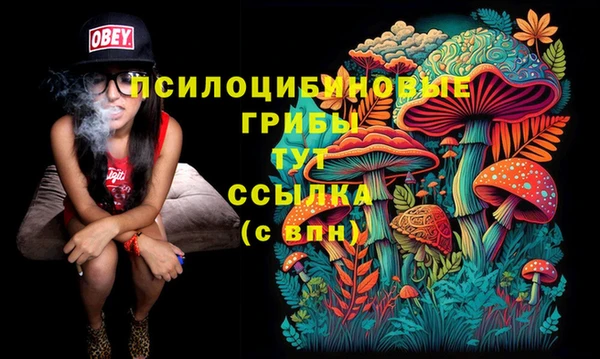 дурь Алексин