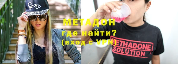 индика Алзамай