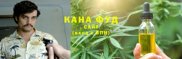 индика Алзамай