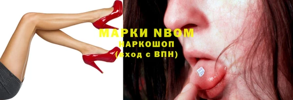 индика Алзамай