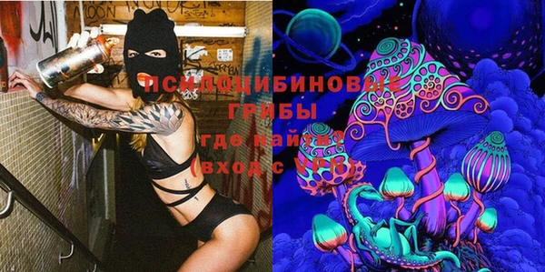 индика Алзамай
