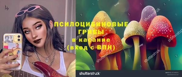 индика Алзамай