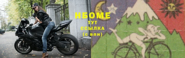 индика Алзамай