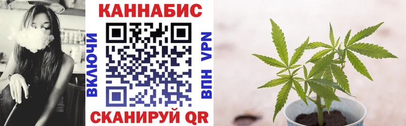 Шишки марихуана марихуана где купить наркотик Трёхгорный